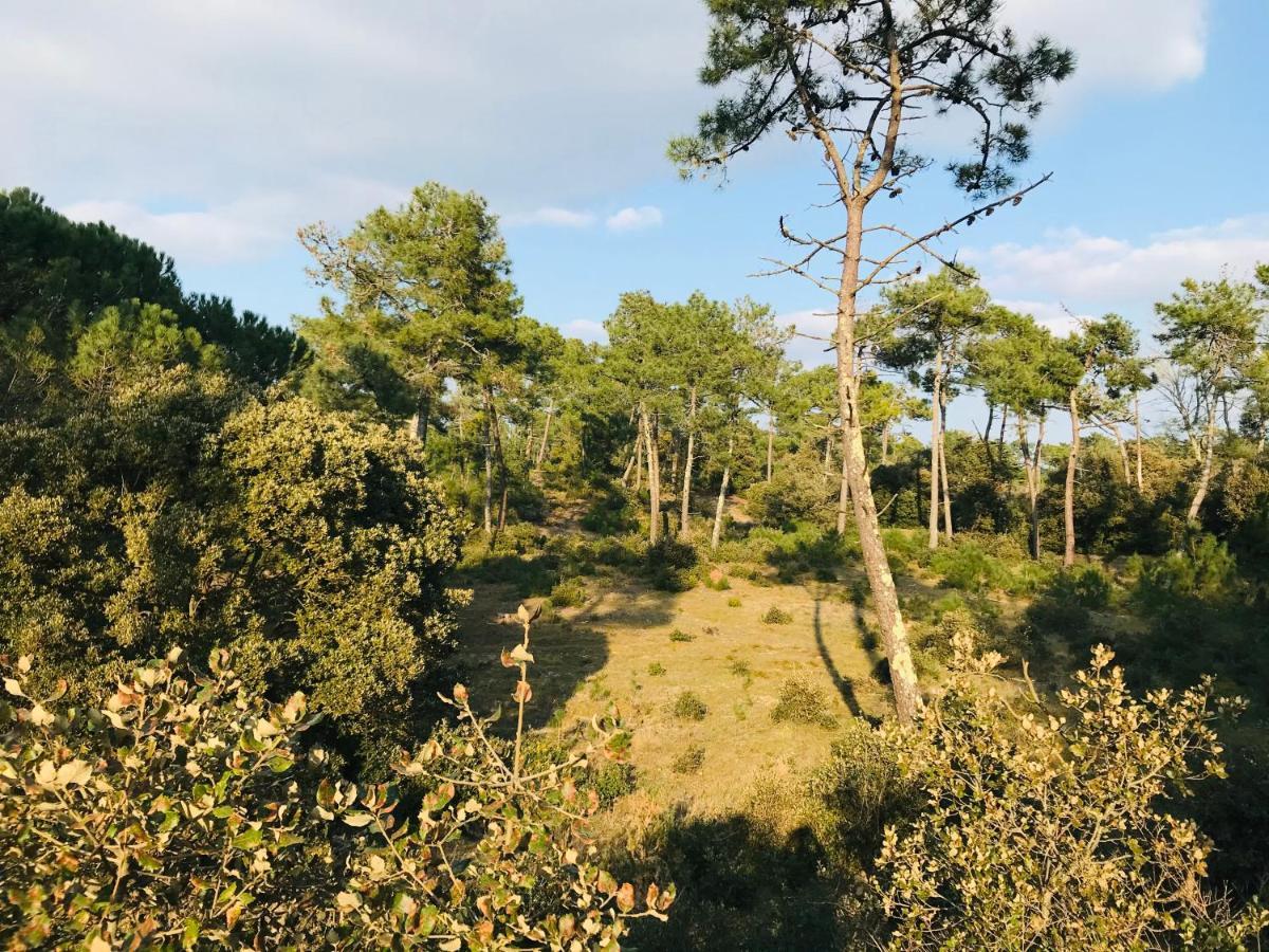 Maison De La Plage, Charme Et Soleil Saint-Jean-de-Monts Exteriör bild